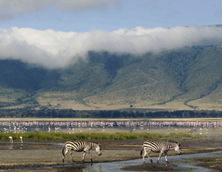 Ngorongoro crater Tanzania Safaris