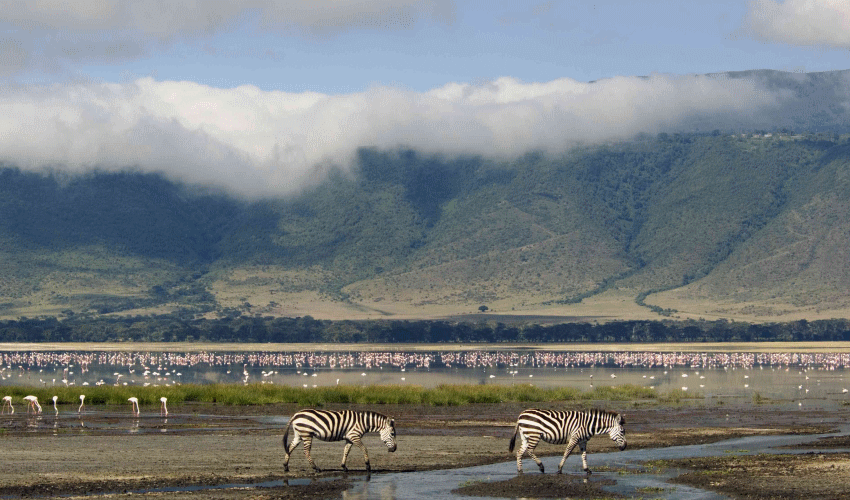 Ngorongoro crater Tanzania